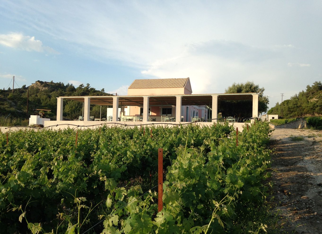 Rhodos: Madlavningskursus og vinsmagning