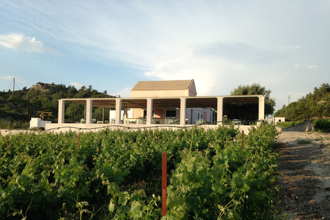 Rhodes: Cooking Class and Wine Tasting Experience