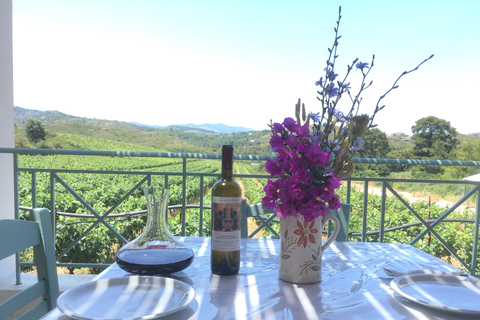 Rhodes: Cooking Class and Wine Tasting Experience