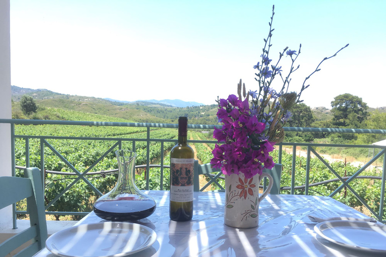 Rhodes: Cooking Class and Wine Tasting Experience