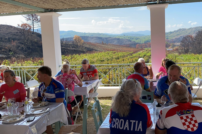 Rhodes: Cooking Class and Wine Tasting Experience