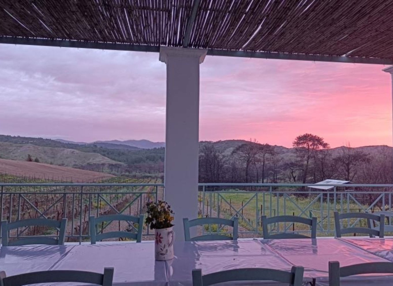 Rhodos: Madlavningskursus og vinsmagning