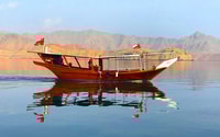 Khasab, Dolphin Watching Day Tour with Snorkeling & Lunch - Housity