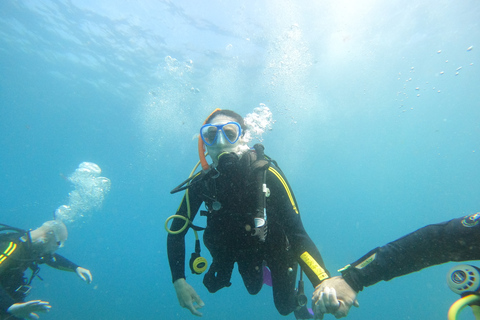 Tenerife: Beginners Scuba Dive in Puerto Colon Turtle Area