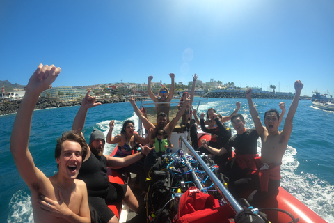 Tenerife: Beginners Scuba Dive in Puerto Colon Turtle Area