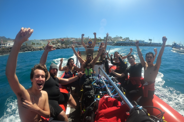 Tenerife : Plongée pour débutants dans la zone des tortues de Puerto ColonTenerife : plongée pour novices dans la zone des tortues de Puerto Colon