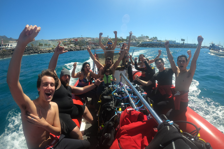 Tenerife: Beginners Scuba Dive in Puerto Colon Turtle Area