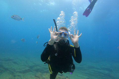 Tenerife: Beginners Scuba Dive in Puerto Colon Turtle Area