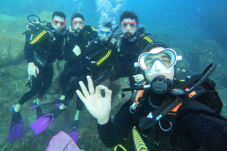 Tenerife: Beginners Scuba Dive in Puerto Colon Turtle Area