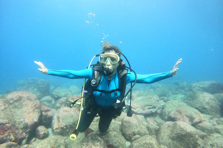 Tenerife: Beginners Scuba Dive in Puerto Colon Turtle Area