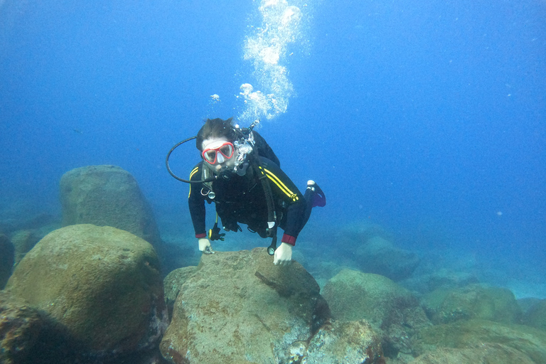 Tenerife: Beginners Scuba Dive in Puerto Colon Turtle Area