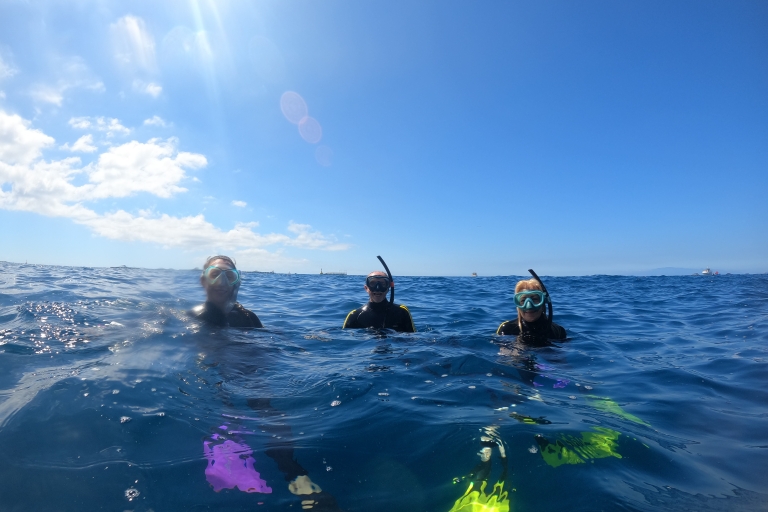Tenerife: snorkeltrip in een schildpaddengebiedTenerife: snorkeltrip in een schildpaddenhabitat