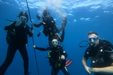 Tenerife: Scuba Diving voor gecertificeerde duikers