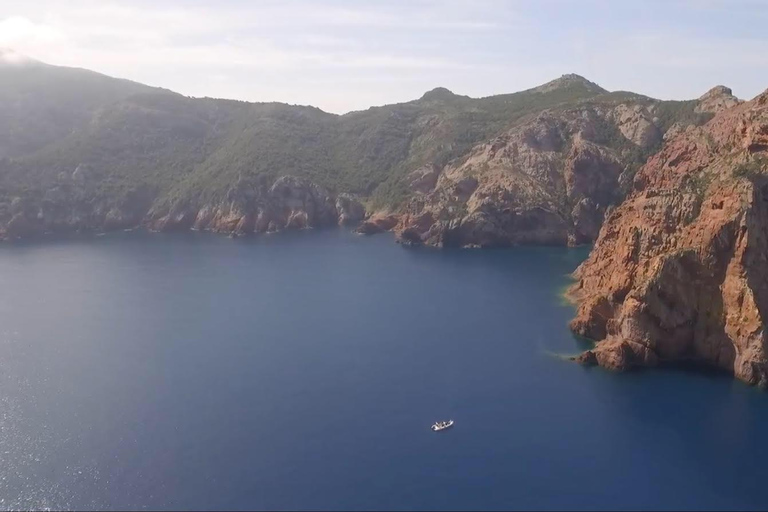 Calvi : Excursión privada en barco por la reserva natural de Scandola