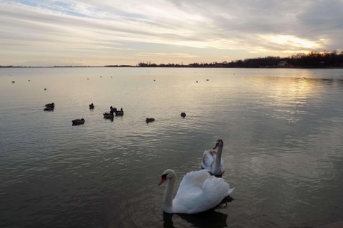 Subotica & Palić by Train: Eco Day Trip from Belgrade