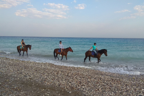 Faliraki/Afadou: Horse Ride to the Beach