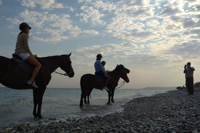Faliraki/Afadou: Horse Ride to the Beach