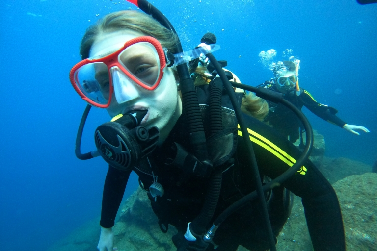 Tenerife: Découvrez la plongée sous-marine