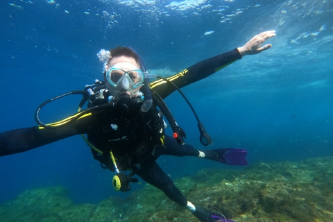 Tenerife: Découvrez la plongée sous-marine
