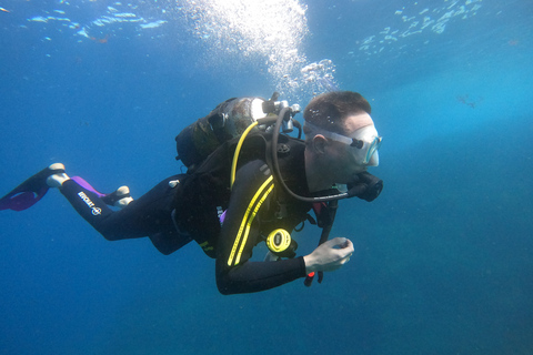 Tenerife: Découvrez la plongée sous-marine