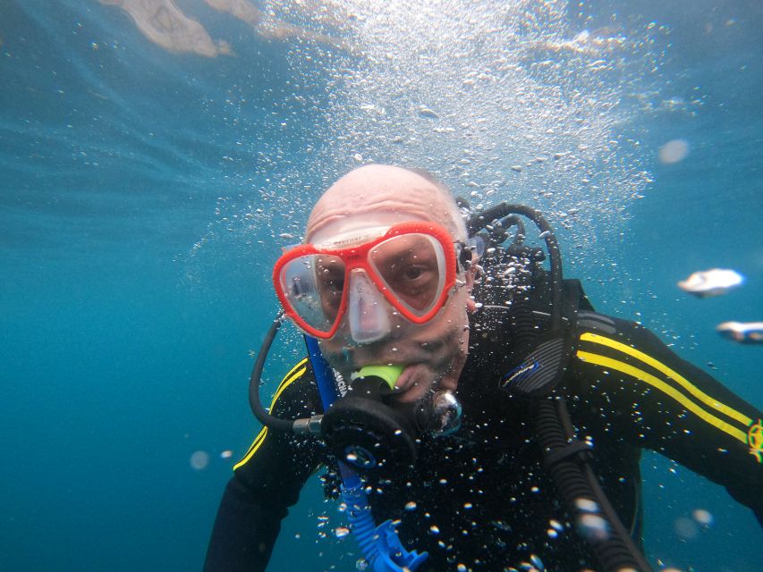 Steps to follow before a dive: how to be well prepared and enjoy a safe dive  - Diving Atlantis Tenerife