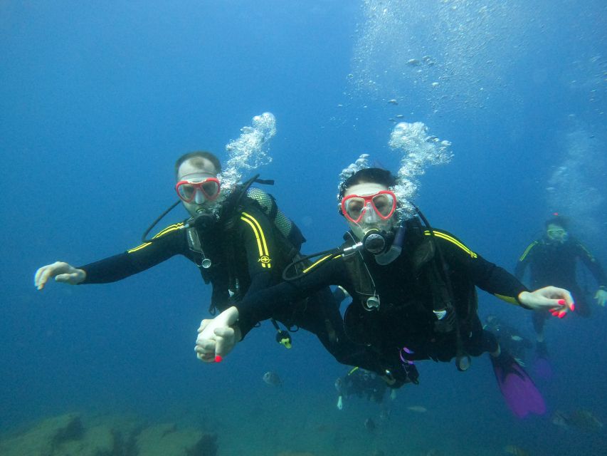 Steps to follow before a dive: how to be well prepared and enjoy a safe dive  - Diving Atlantis Tenerife
