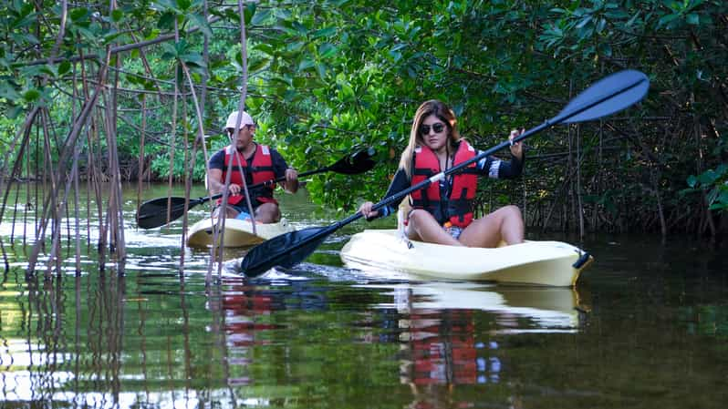 Cancún Excursión guiada en kayak por los manglares de la Laguna