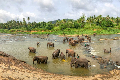 Sri Lanka : Circuit de 6 jours à Kandy, Nuwara Eliya, Bentota et Colombo