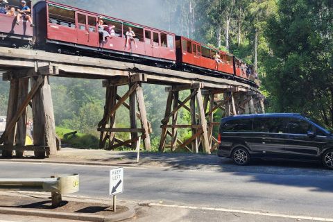 From Melbourne: Healesville & Puffing Billy Train Day Trip