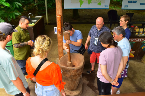 Praia de Jaco: Excursão de 2 horas com experiência em chocolateOpção Padrão