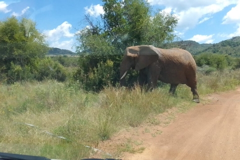Johannesburg, Park Narodowy Krugera 8 dni