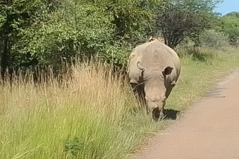 Johannesburg, Parc national de Kruger 8 jours