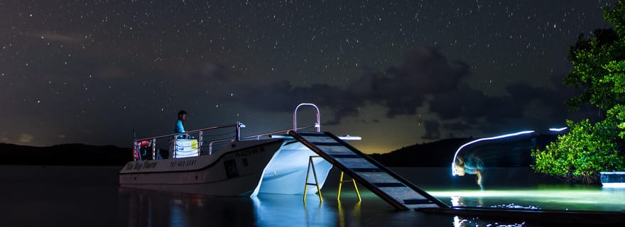 Vieques : Tour en bateau de la baie bioluminescente