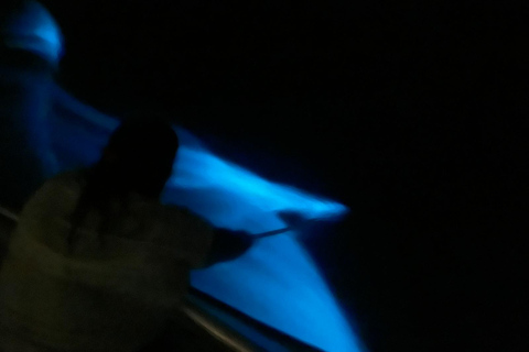 Vieques: excursion en catamaran dans la baie bioluminescente