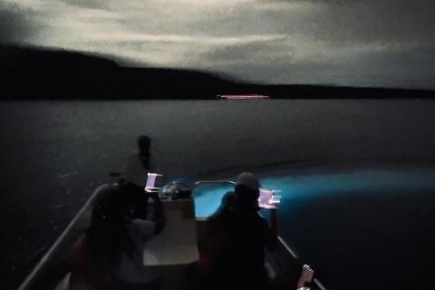 Vieques: Bioluminescent Bay Catamaran Tour