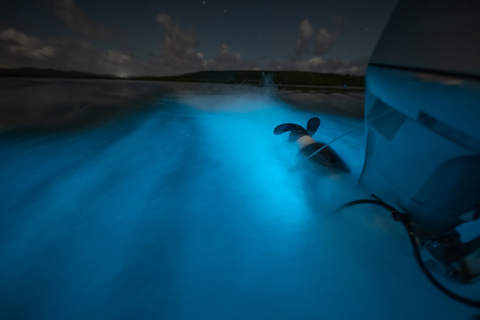 Vieques: excursion en catamaran dans la baie bioluminescente