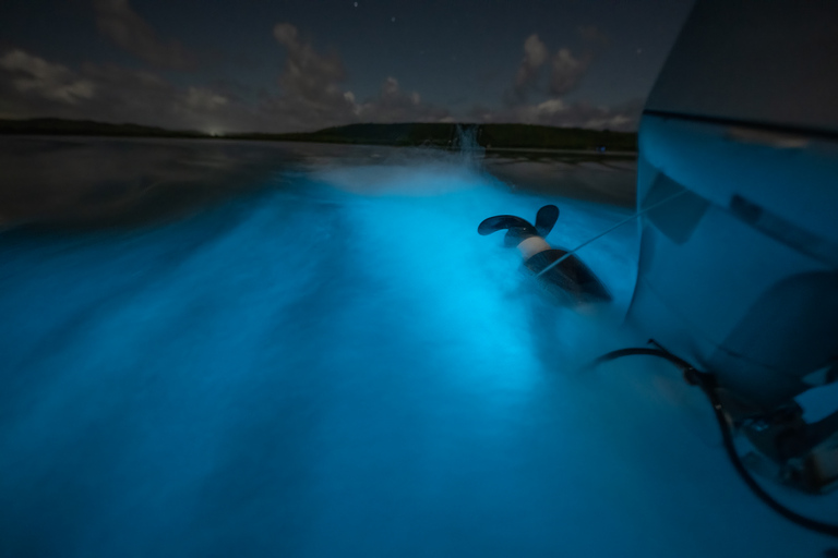 Vieques: excursion en catamaran dans la baie bioluminescente
