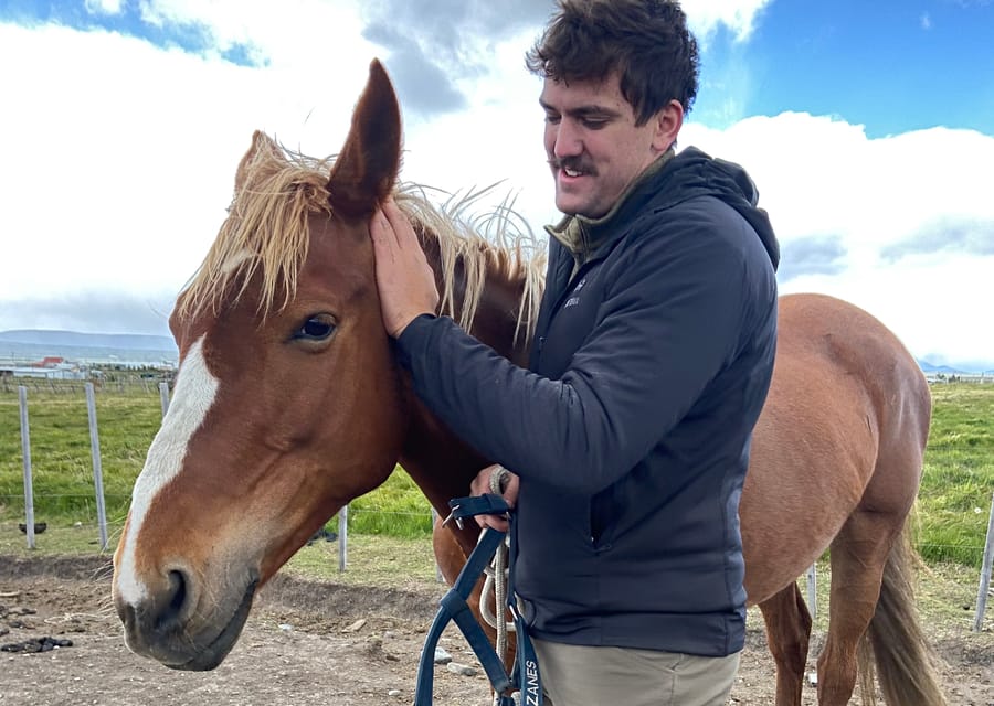 Puerto Natales: Horseback Riding for Experienced Riders | GetYourGuide