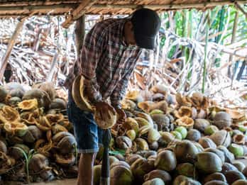 Z Ho Chi Minh: Delta Mekongu z Ben Tre 1-dniowa wycieczka