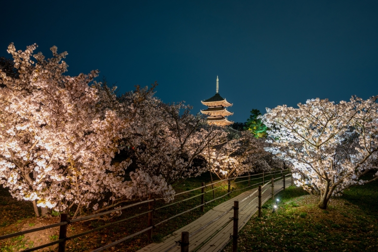 Kyoto: Ninna-ji-Tempel mit Goten-Palast und Garten-TicketGoten (Schloss & Gärten)