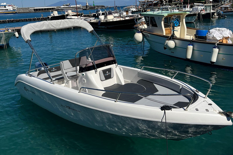 Da Sorrento: Tour privato in barca della Costiera Amalfitana con SkipperGiro in barca 40 HP