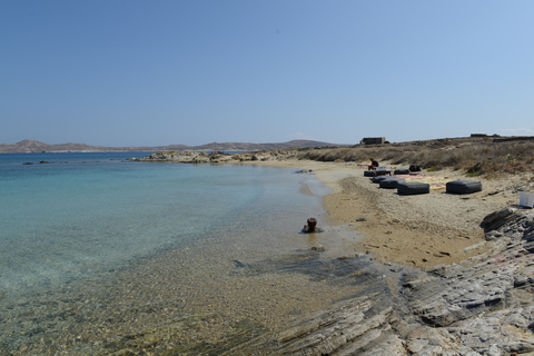 Desde Mykonos: crucero privado en catamarán por la isla y cena