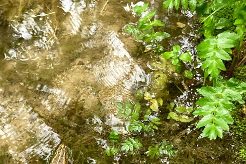 From Split: Krka Waterfalls Guided Tour & Ticket Discount