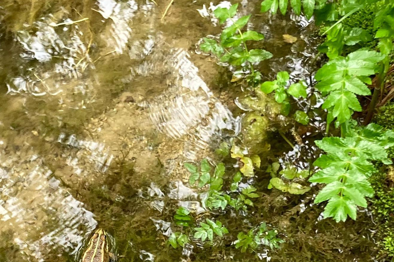 From Split: Krka Waterfalls Guided Tour & Ticket Discount