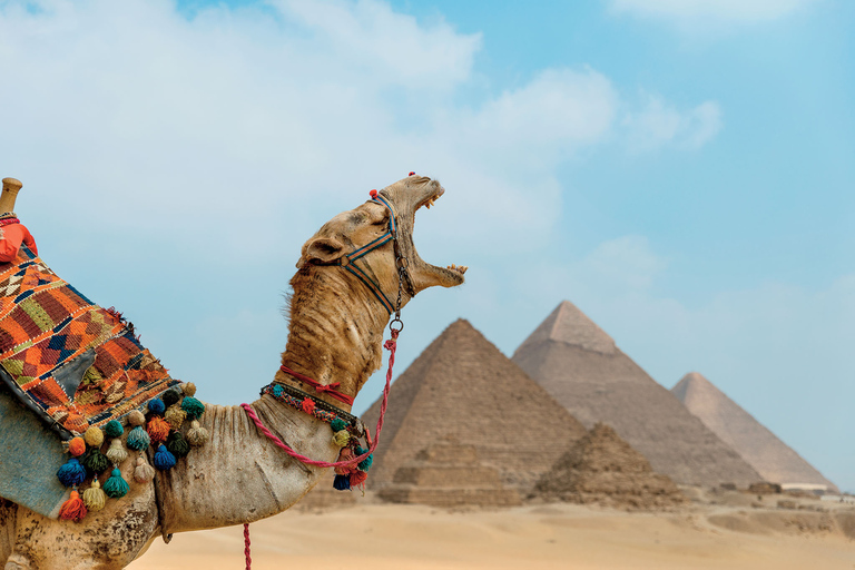 From Port Said: Giza Pyramids and Sakkara Private Day Tour