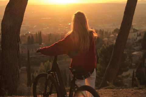 Granada: vistas de la puesta de sol de la Alhambra y Sierra Nevada en bicicleta eléctricaVisita privada en francés