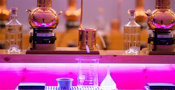 Aberdeen: Gin-Destillerie-Entdeckungstour mit Begrüßungsdrink