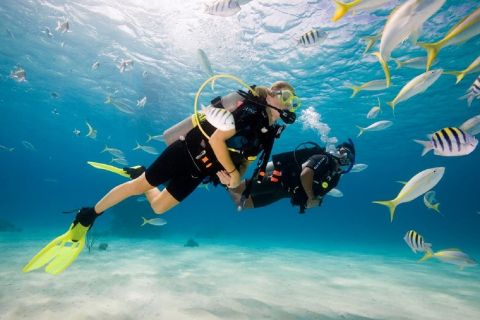 Alanya: Scuba Diving or Snorkeling Tour with Lunch