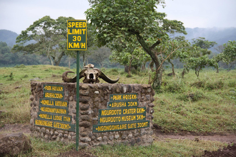 Arusha: Dagtrip Nationaal Park met Ngurdoto krater