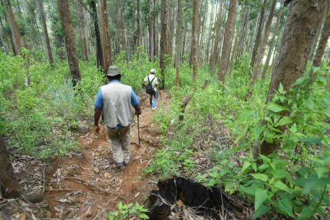 Ella: Pekoe Trail Etapa 15 Caminata guiada de Makulela a Ella